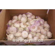 20kg Mesh Bag Verpackung Normal White Knoblauch